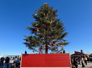 「Christmas Market in 横浜赤レンガ倉庫」ツリー